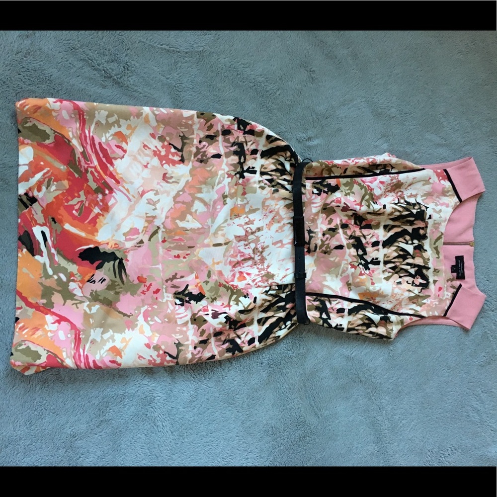 Tahari Arthur S Levine Dress